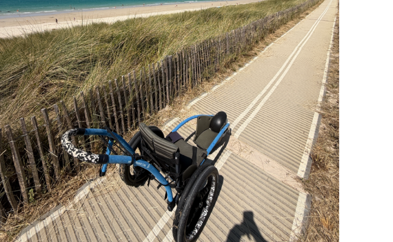 handiplage hipocampe 768x473